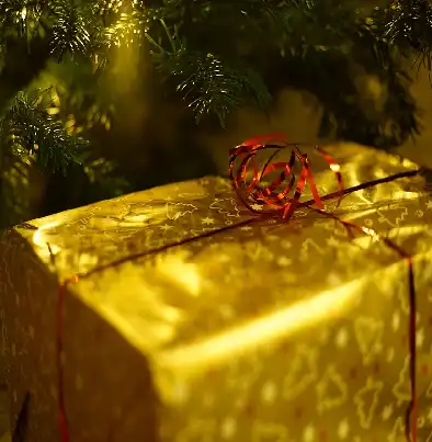 Golden gift box under Christmas tree branches.