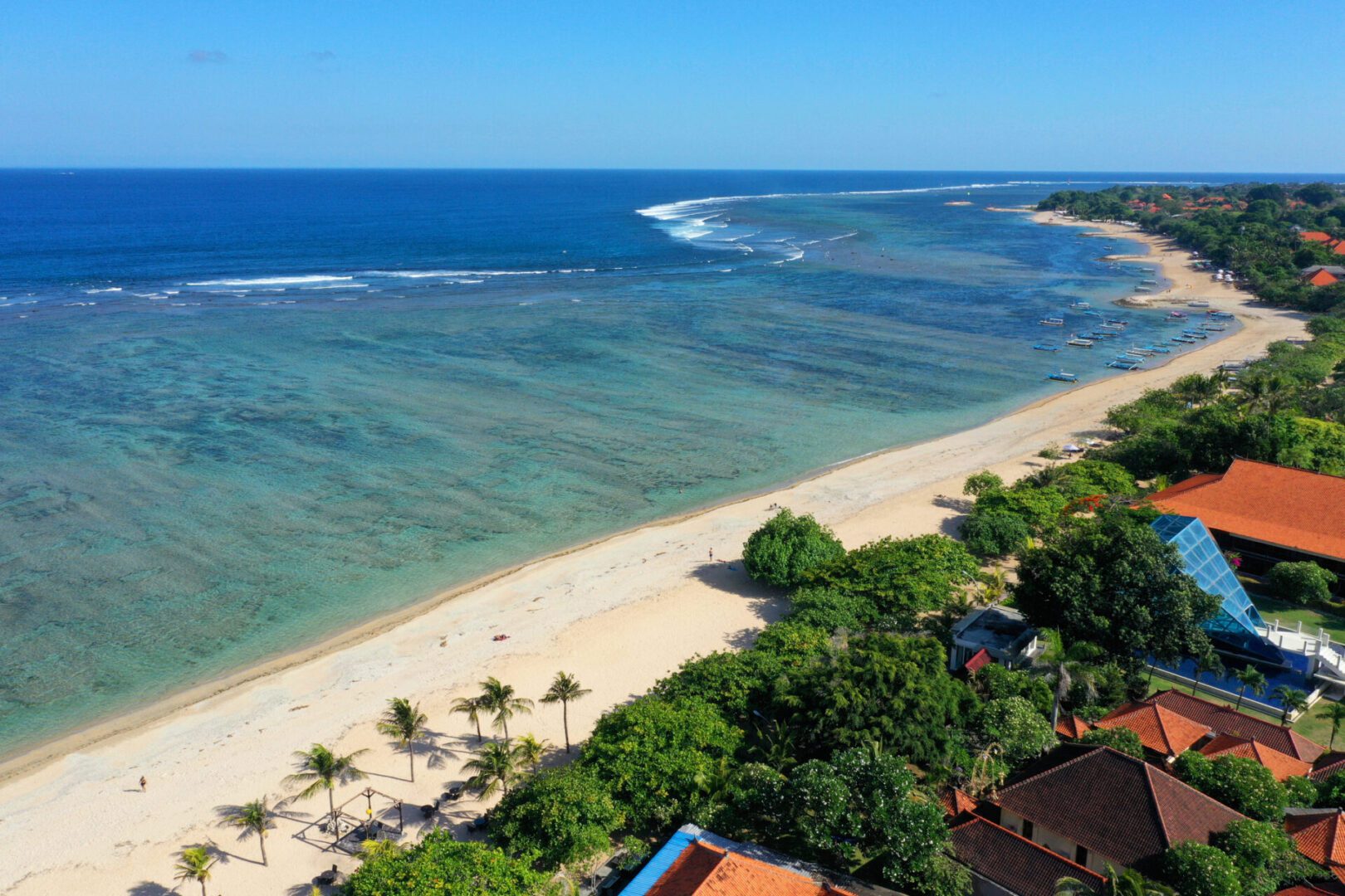 Aerial view of tropical beach and ocean.