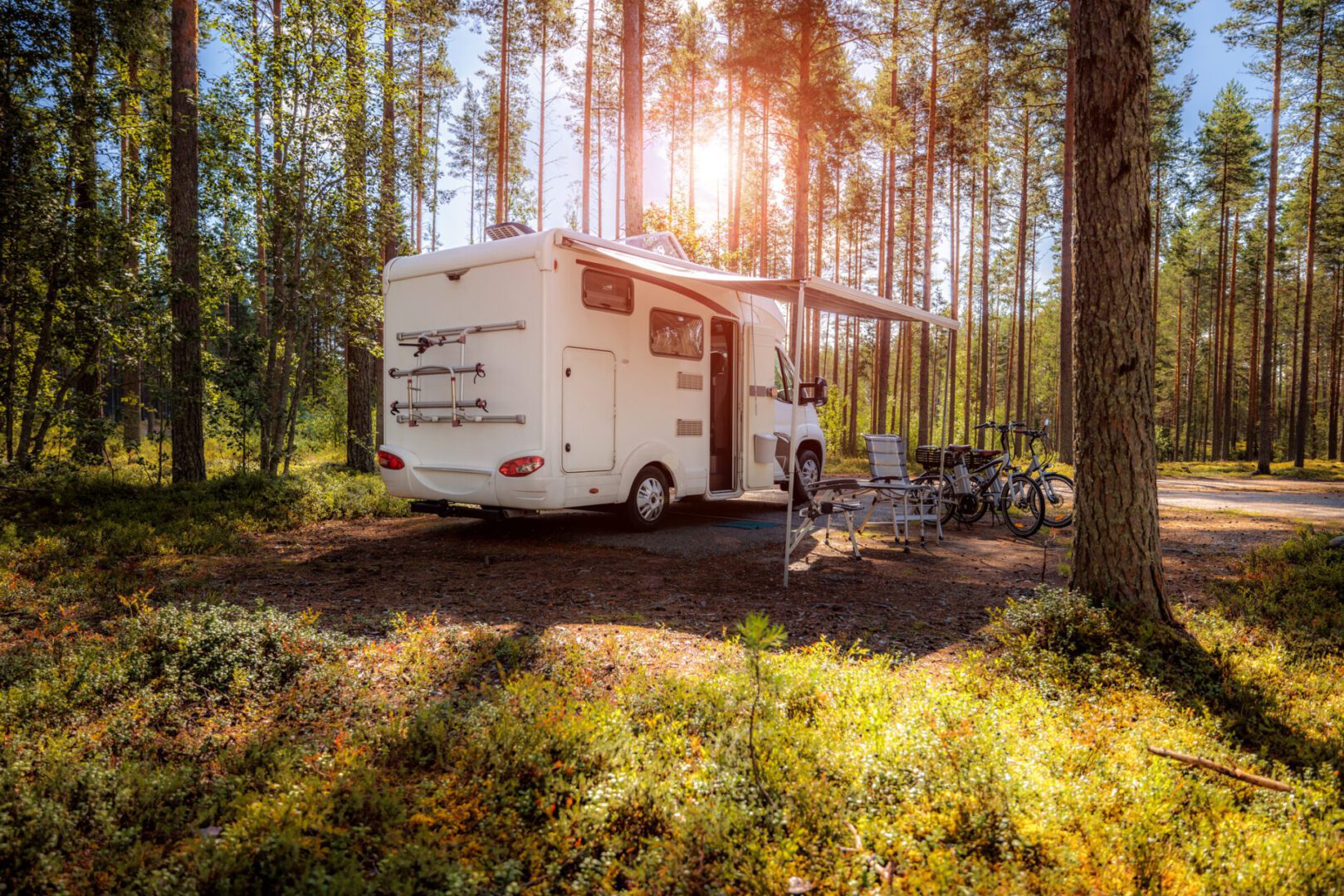 Camper van parked in a forest clearing.