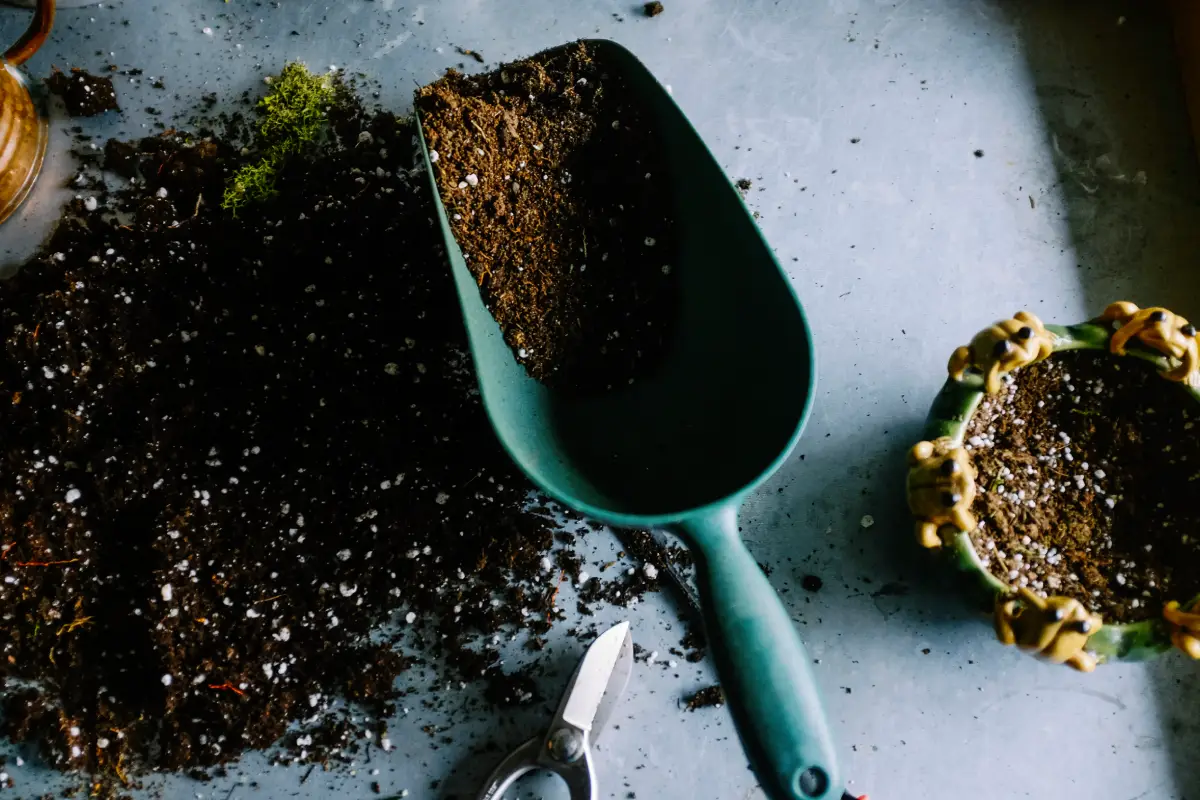 Gardening tools and soil on a table.