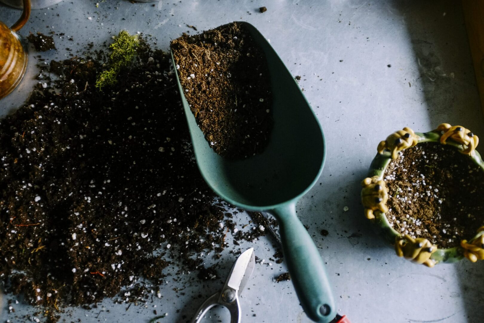 Gardening tools and soil on table.